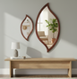 Designer Curved Mirror (L)