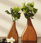 Set Of 2 Amaryllis Vase